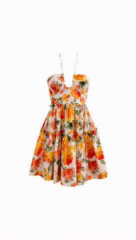 Jasia Mini Dress (Apricot)