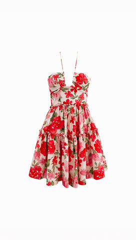 Jasia Mini Dress (Blossom)